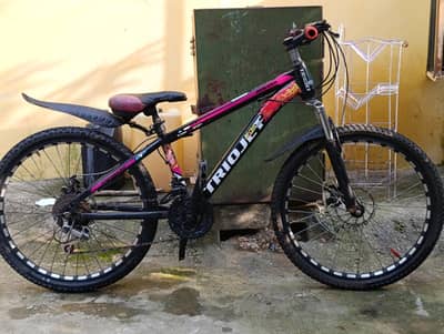 Triojet bicycle size. 24