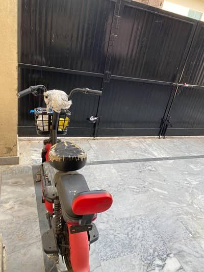Electric Scooty