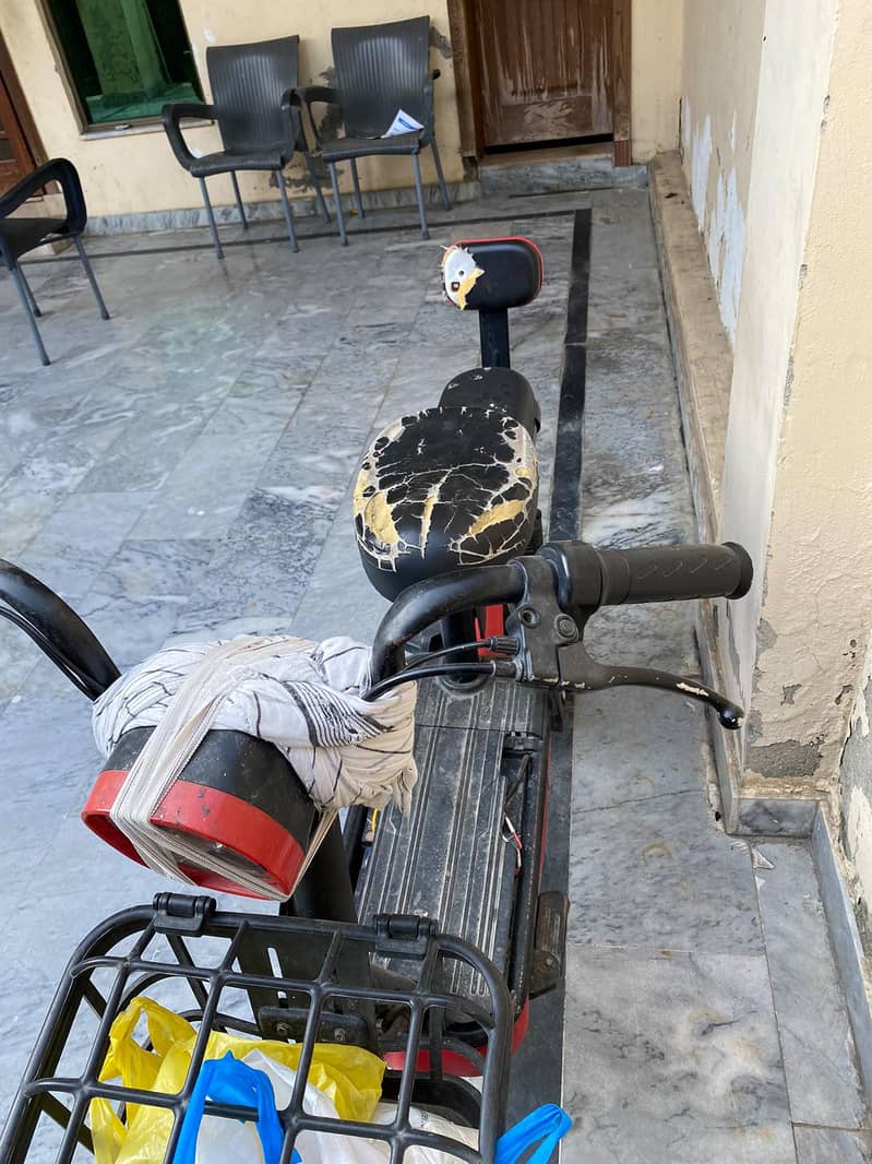 Electric Scooty 1
