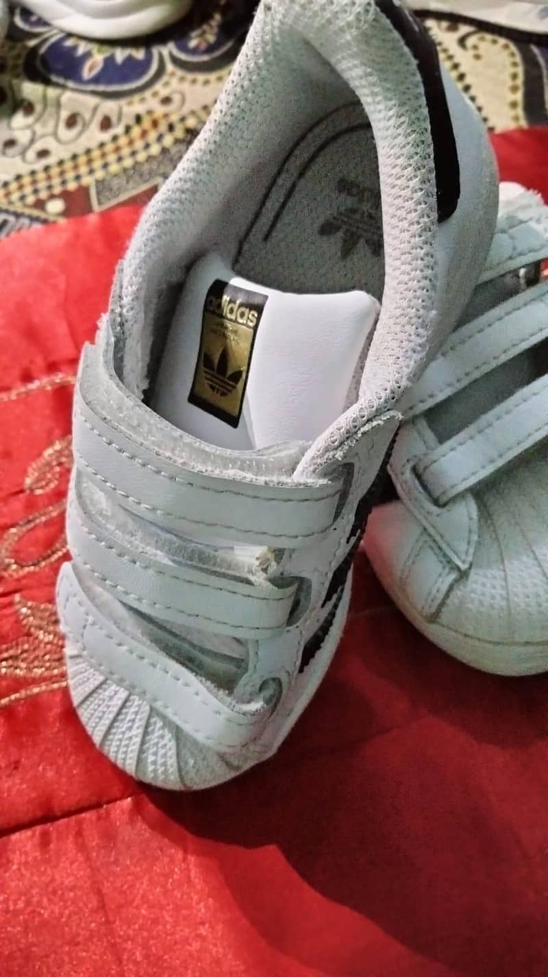 shoes 12