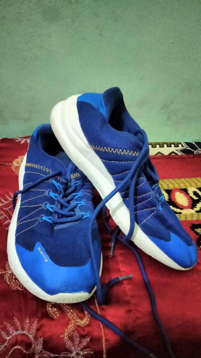 shoes 14