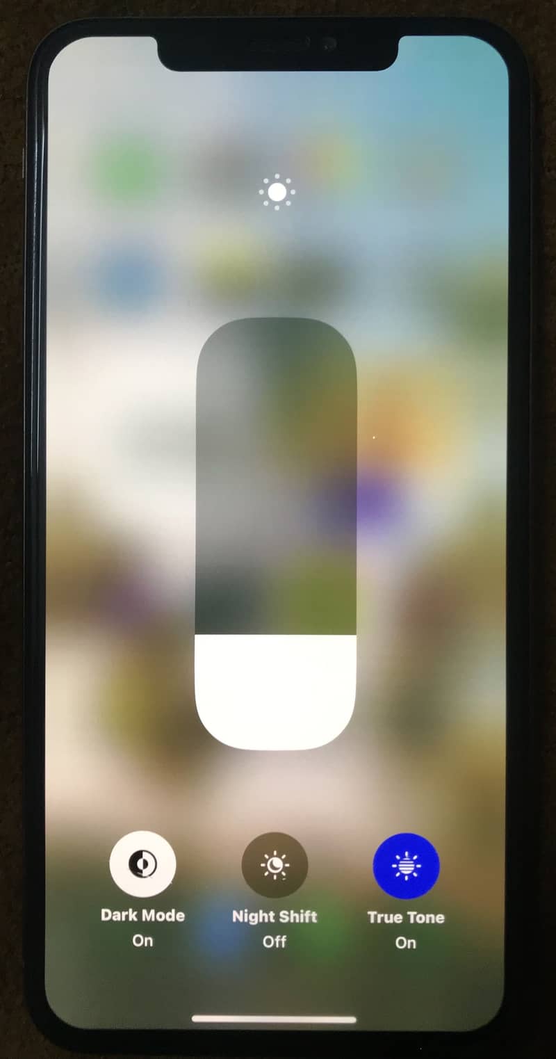 Apple iPhone XS Max 3
