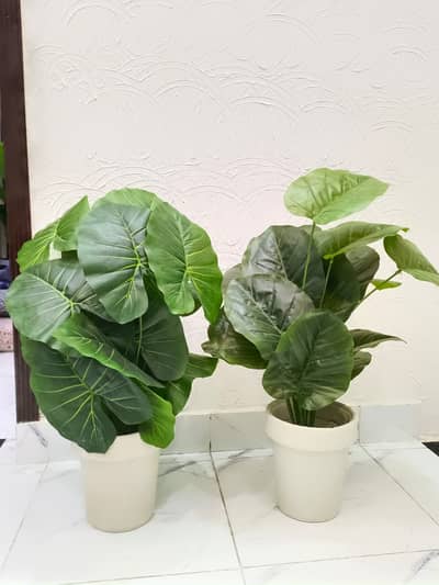 Pair of Artificial Plants – New Condition - Whatsapp only
