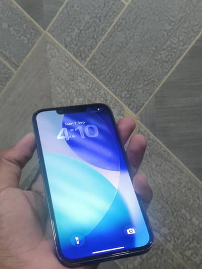 Apple iPhone 13 Pro