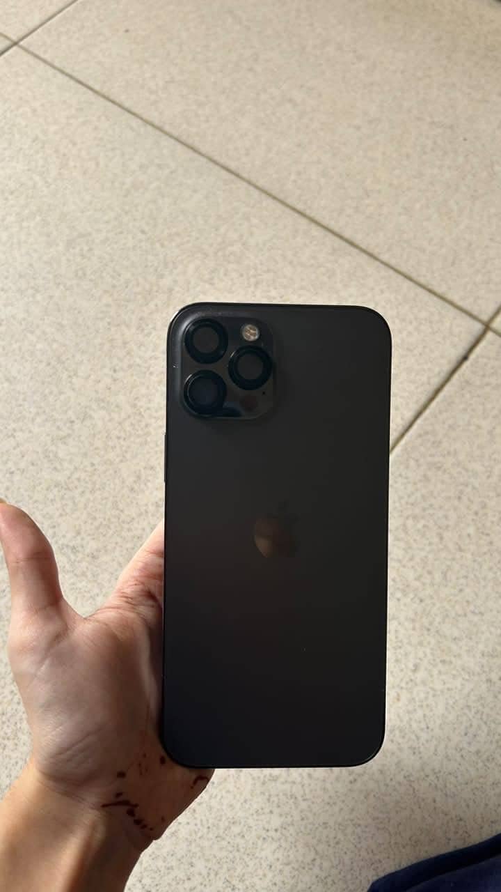 Apple iPhone 12 Pro Max 1