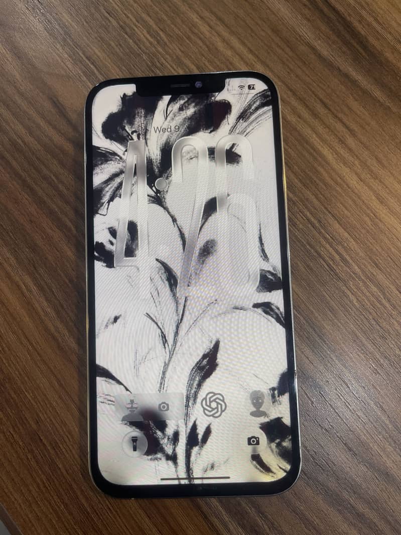 Apple iPhone 12 Pro Max 1