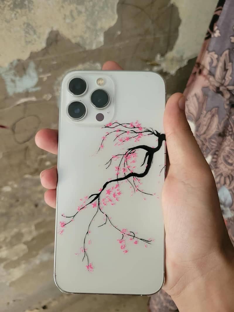 Apple iPhone 13 Pro Max 0