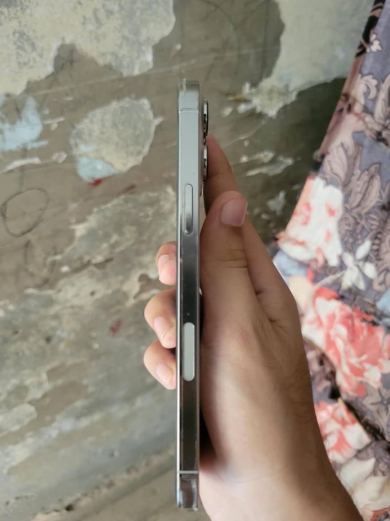 Apple iPhone 13 Pro Max 2