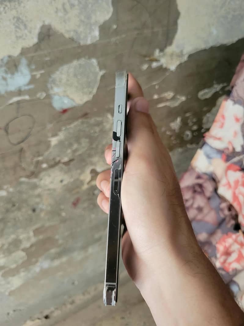 Apple iPhone 13 Pro Max 3