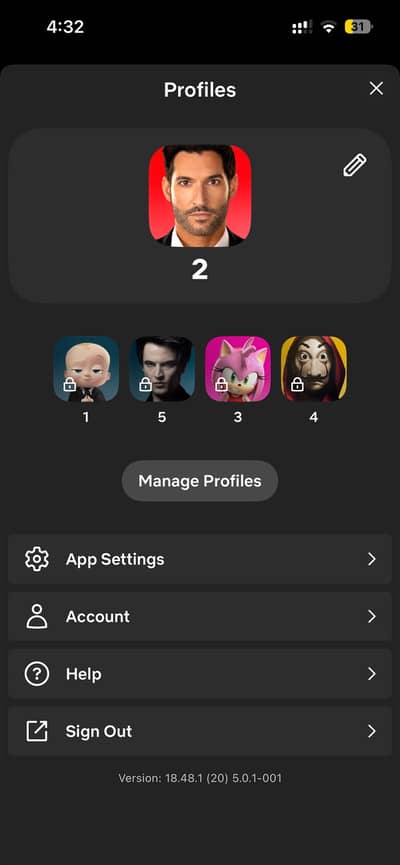 Netfilx screen
