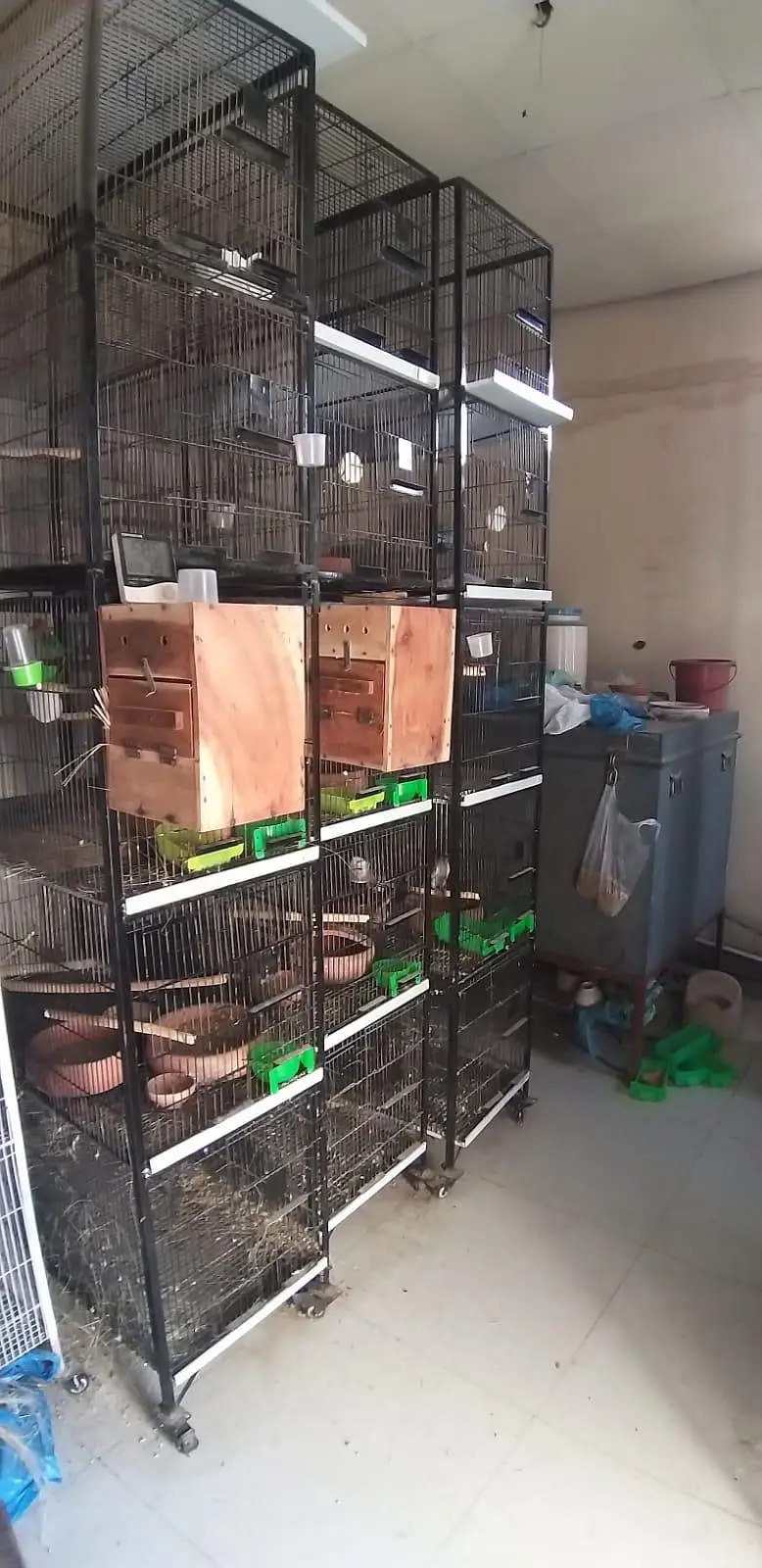 cage  for birds