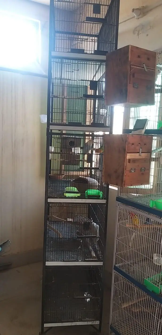 cage  for birds — photo 2