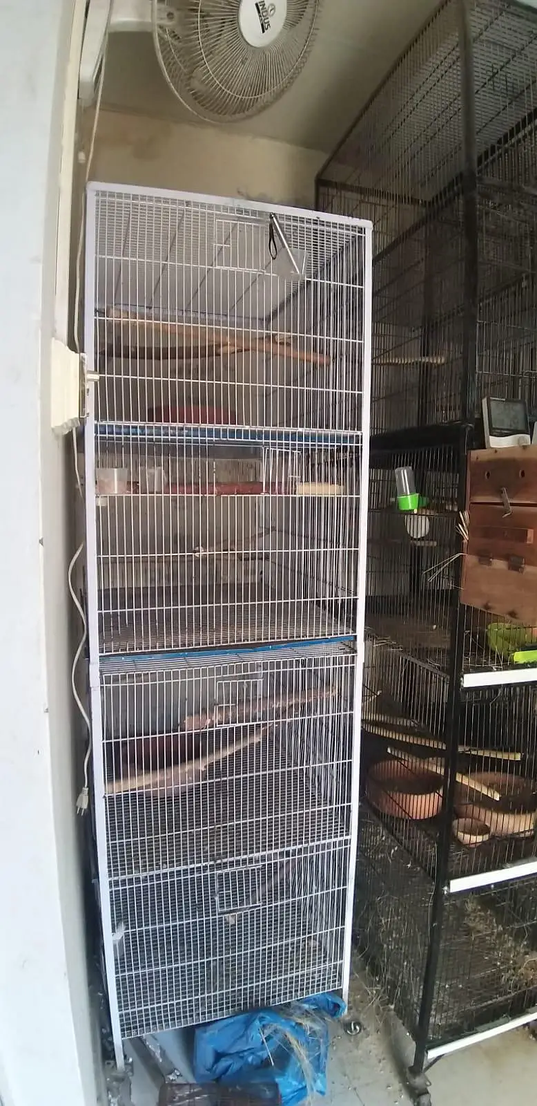 cage  for birds — photo 3