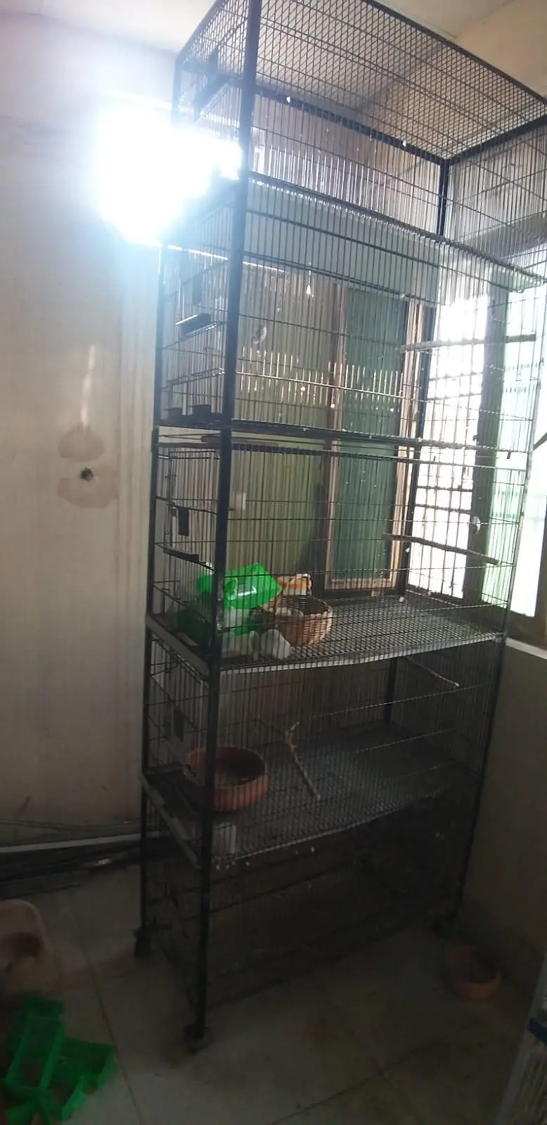 cage  for birds — photo 4