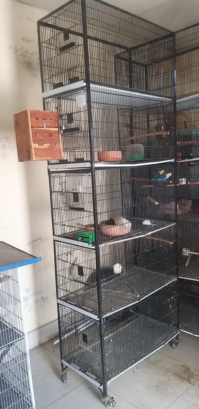 cage  for birds — photo 6
