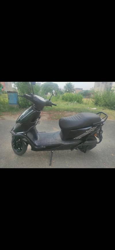 Revoo C32 young for sale
