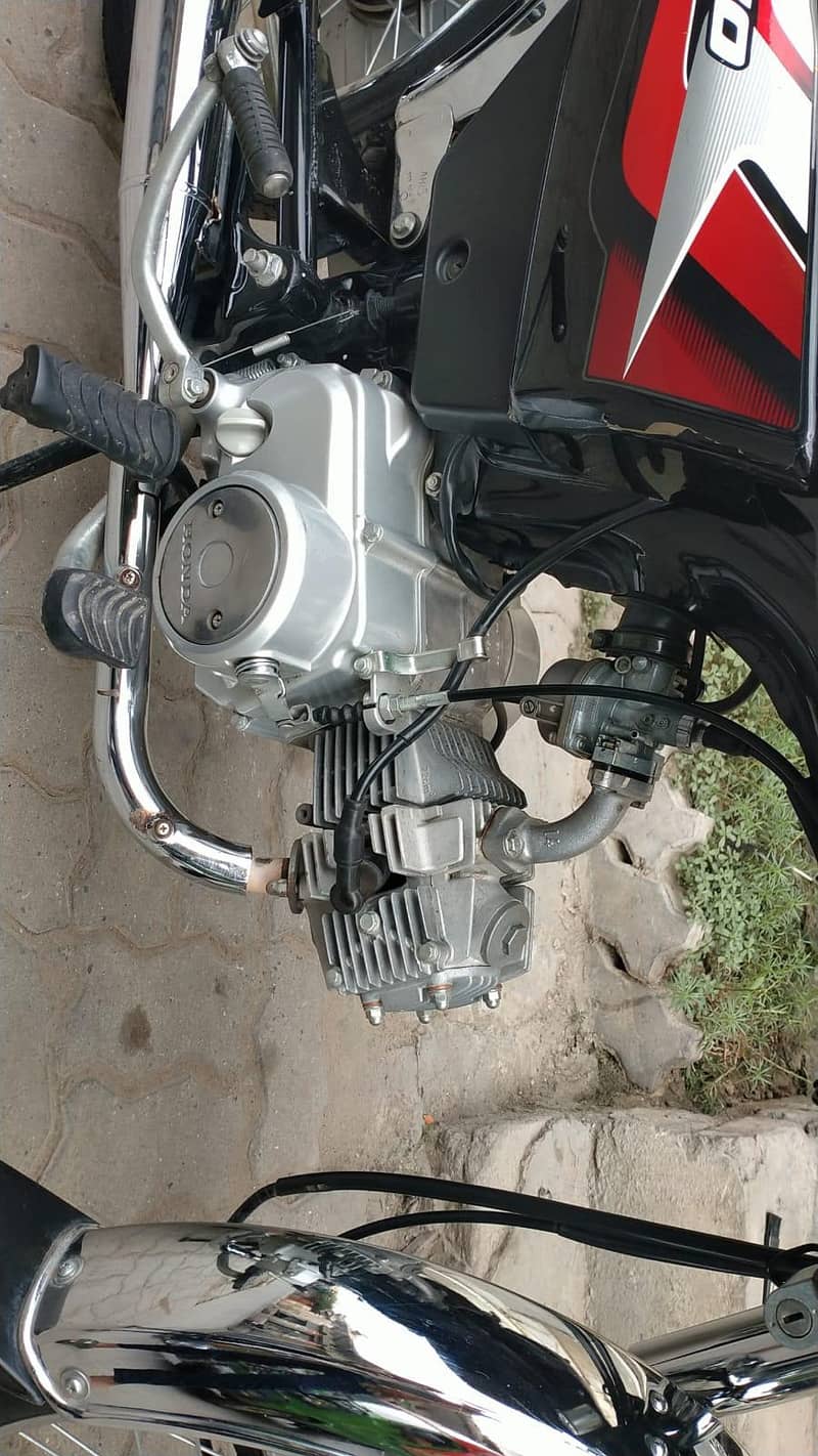 03016364436 6