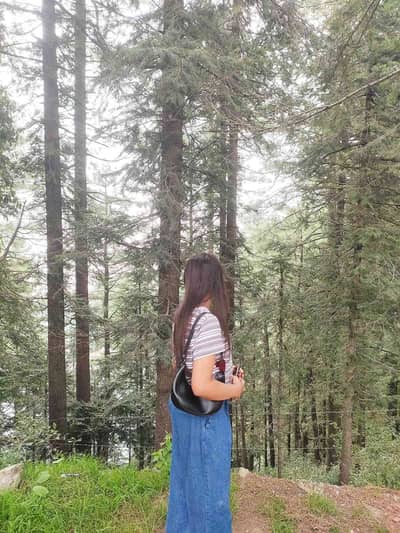 ch_alizey
