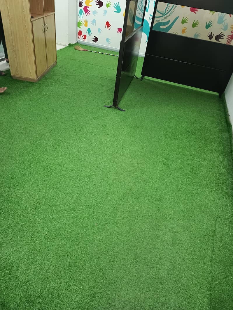 green grass carpet 1