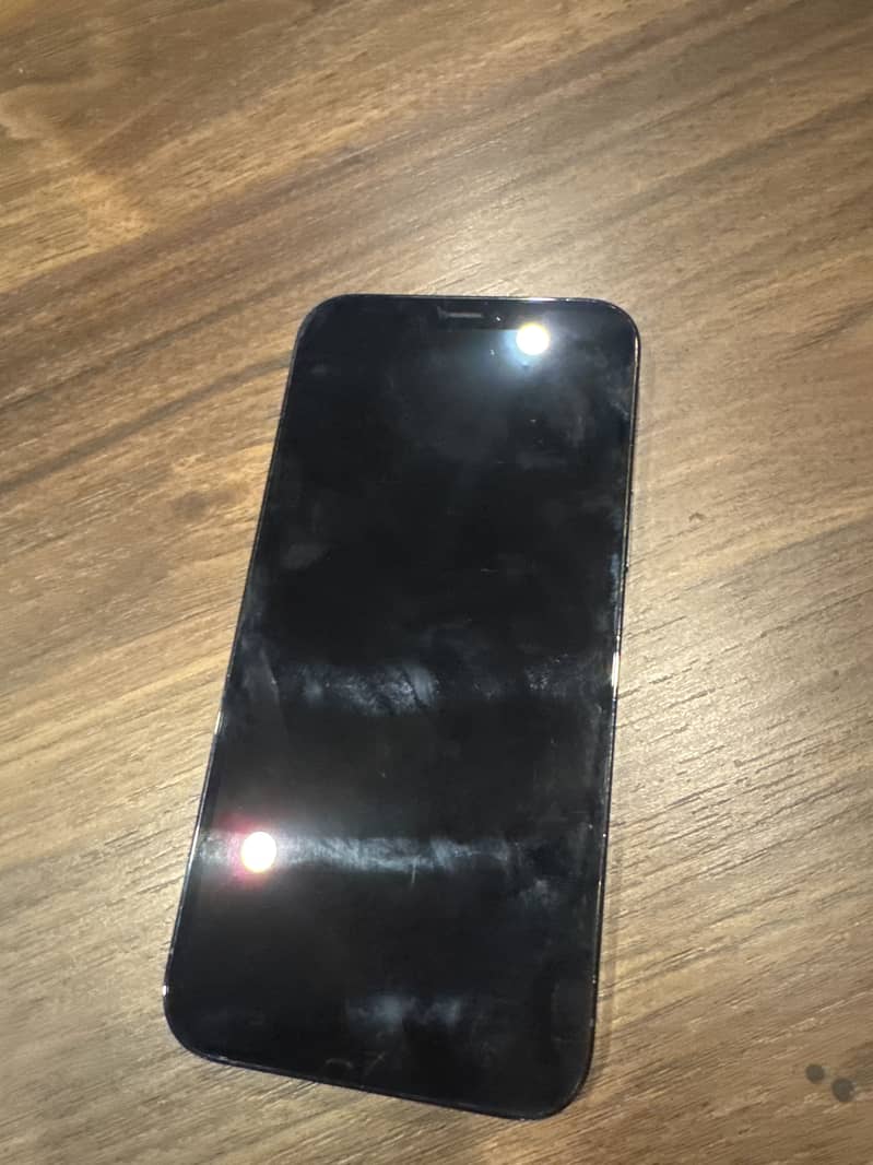 Apple iPhone 12 Pro Max 1