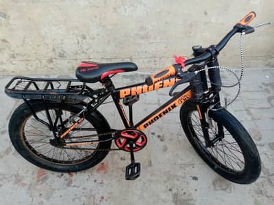 cycle Phoenix for 8yrs to 13yrs