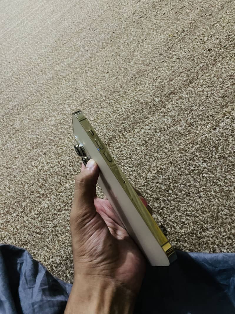 iPhone 13 Pro Max 1