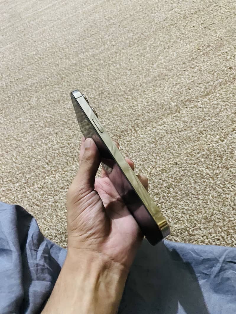 iPhone 13 Pro Max 2