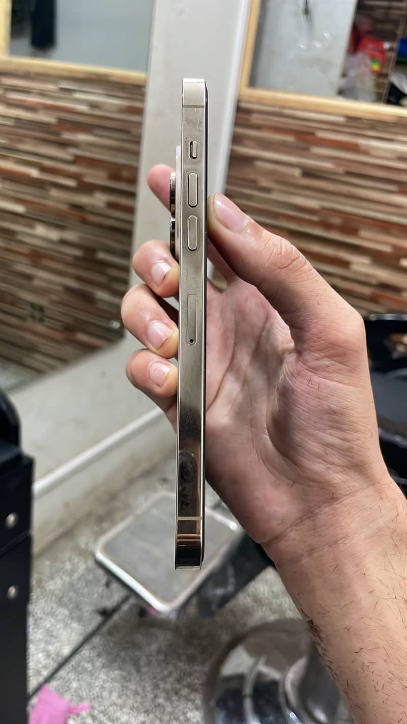 Apple iPhone 14 Pro Max 2