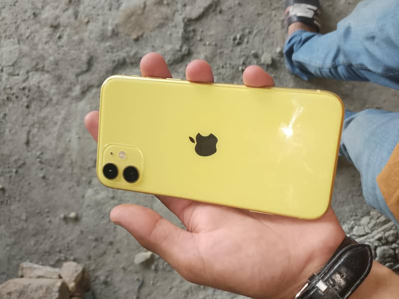 Apple iPhone 11 0