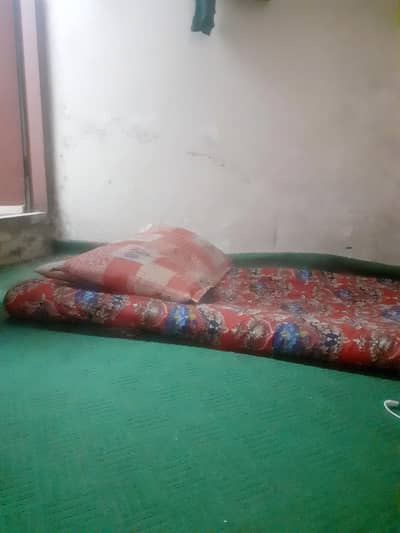 1 person Space available in Room