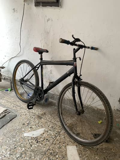 Big Cycle Urgent Sale