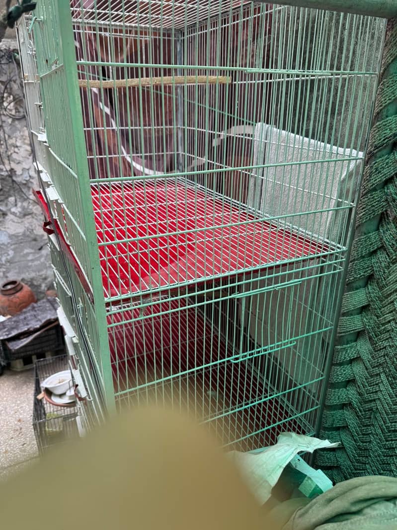 Bird cage 0
