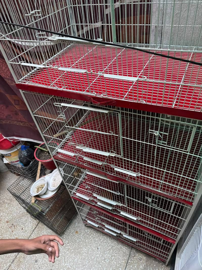 Bird cage 1