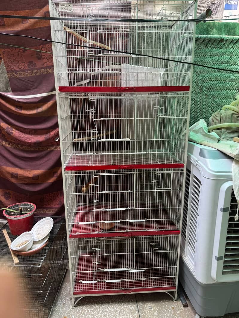 Bird cage 2