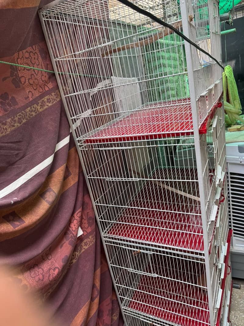 Bird cage 3