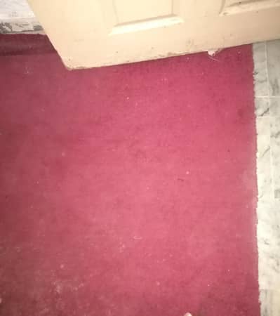 Carpet for sale