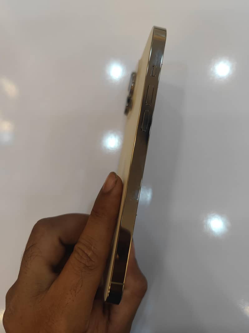 Apple iPhone 14 Pro Max 3