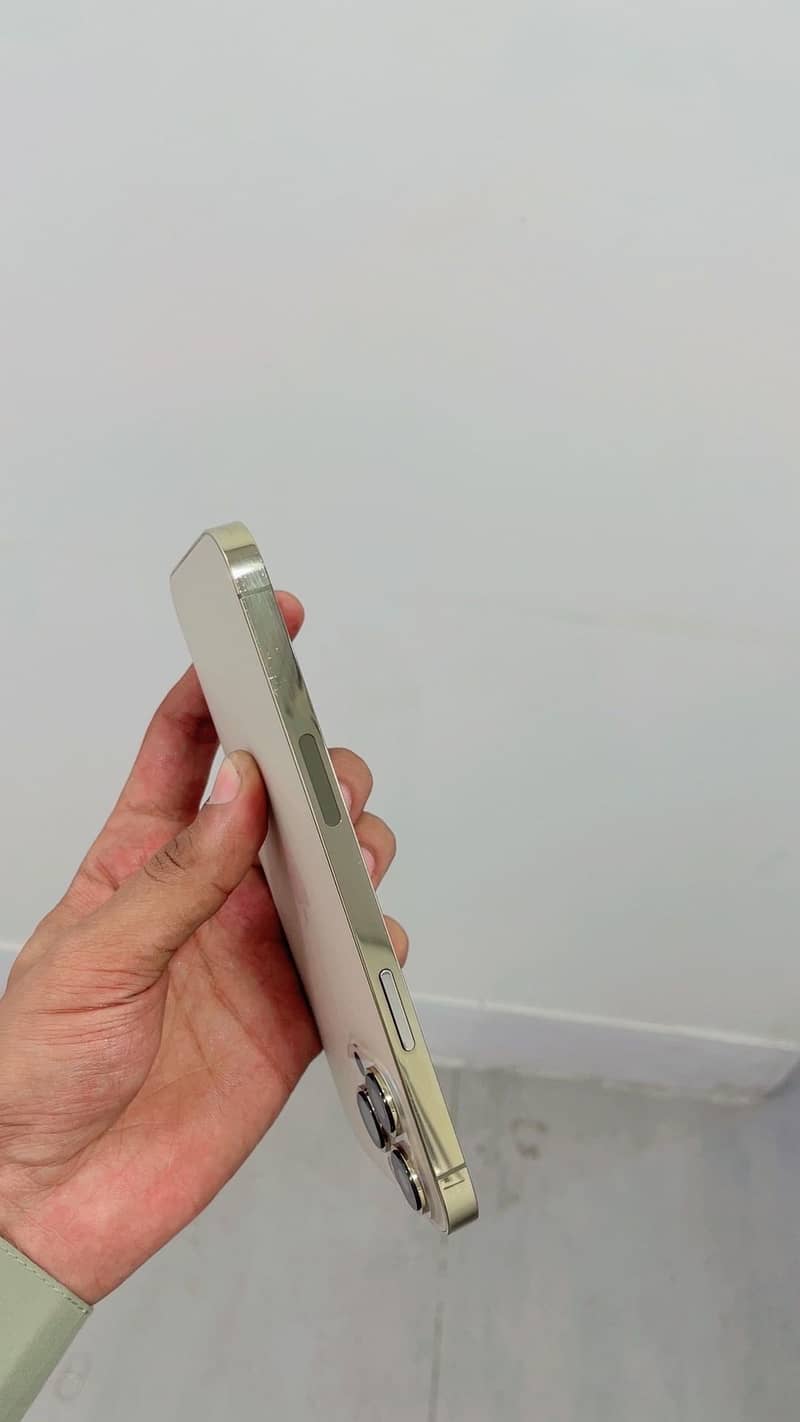 Apple iPhone 13 Pro Max 1