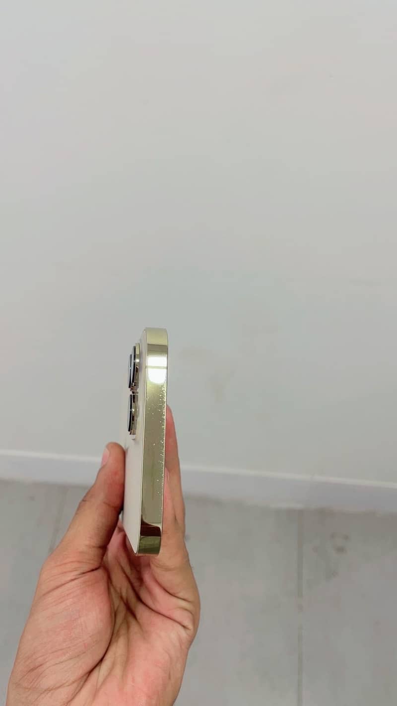 Apple iPhone 13 Pro Max 3