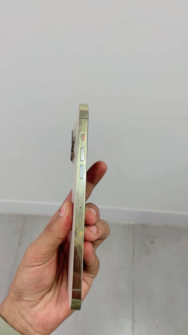 Apple iPhone 13 Pro Max 4