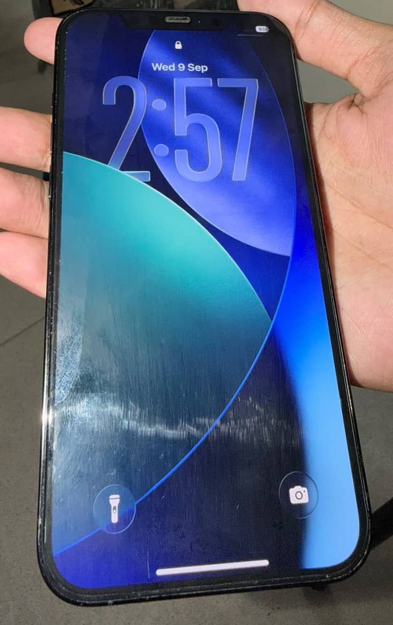 Apple iPhone 12 Pro Max 1