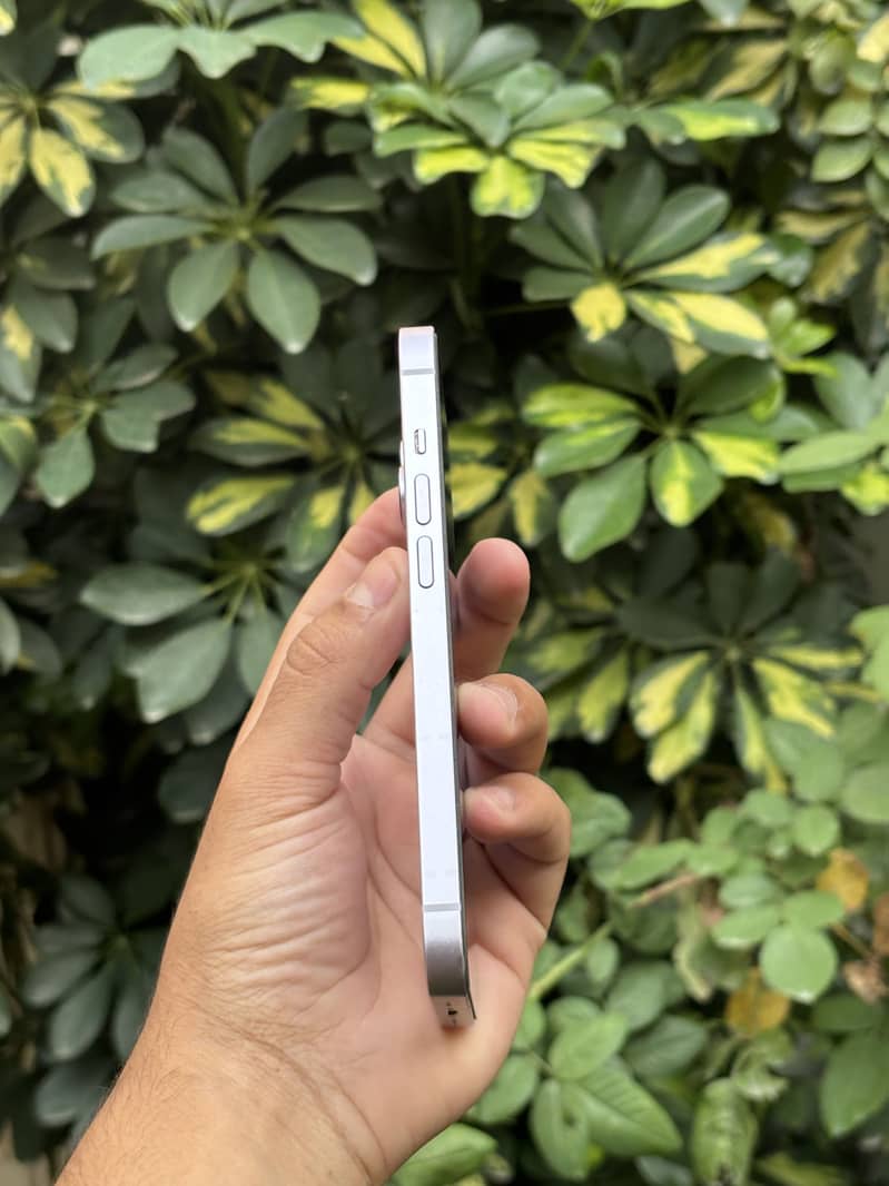 Simple iPhone 14  jv 1