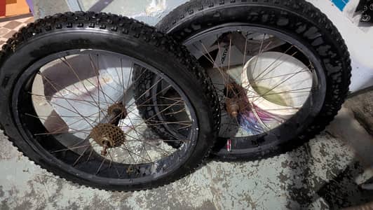 Cycle imported Tyres