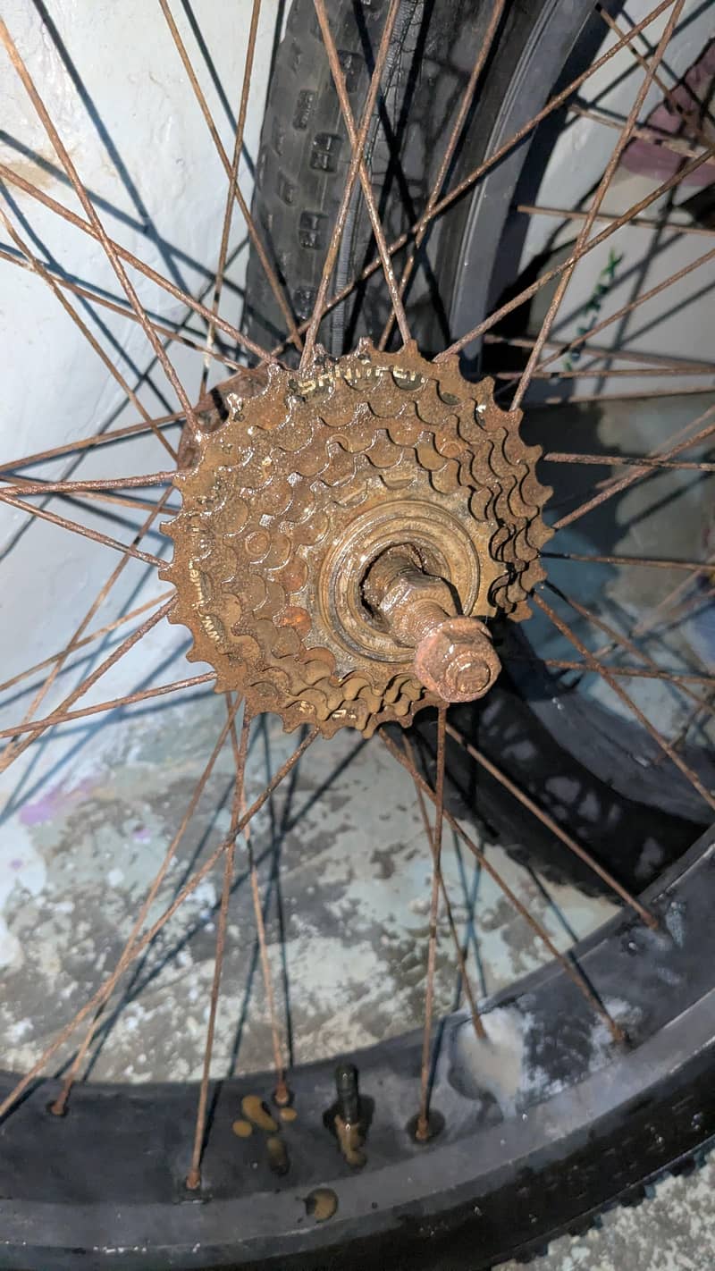 Cycle imported Tyres 2
