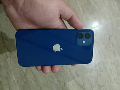 Apple iPhone 12