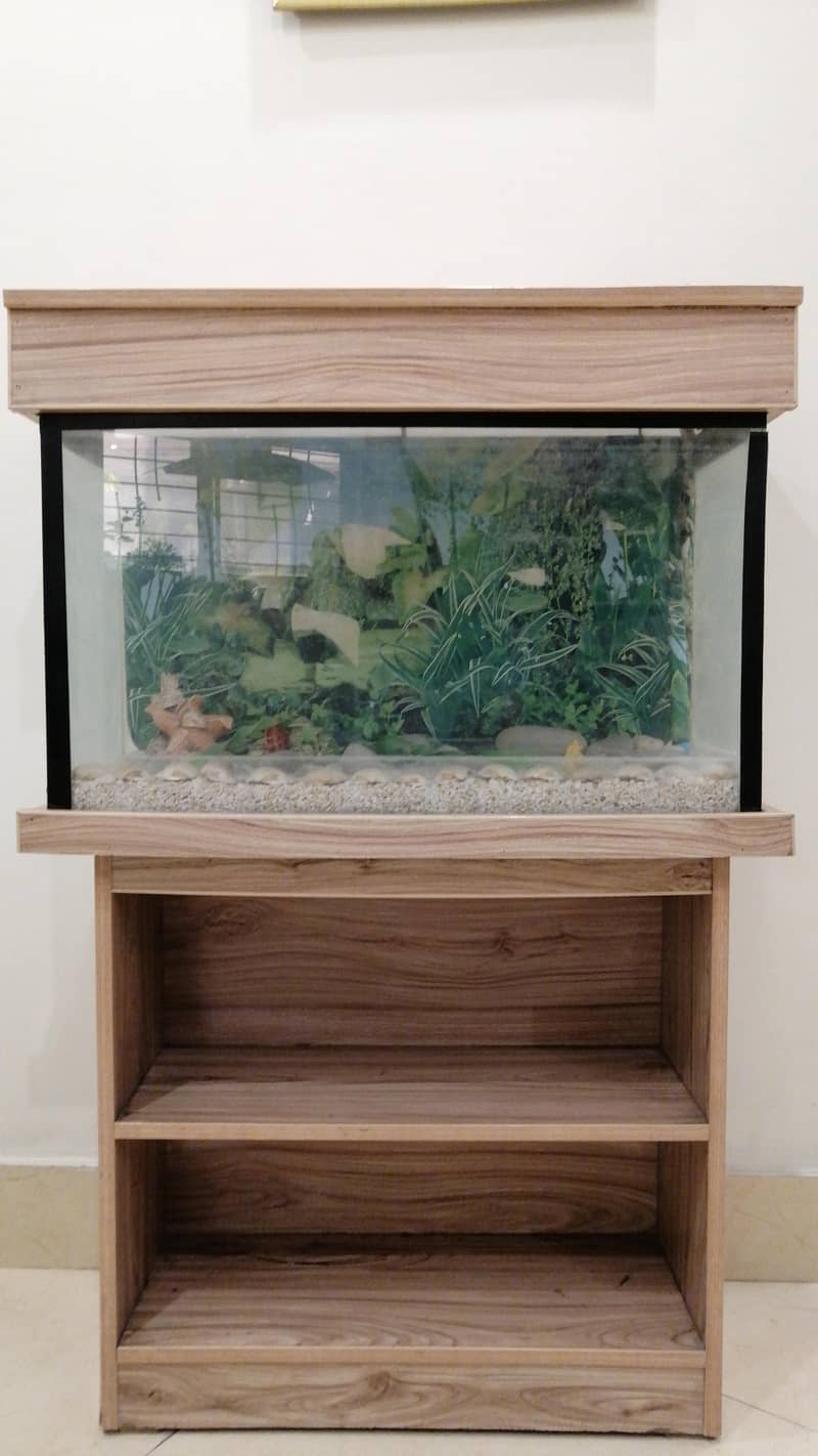 Fish Aquarium 0