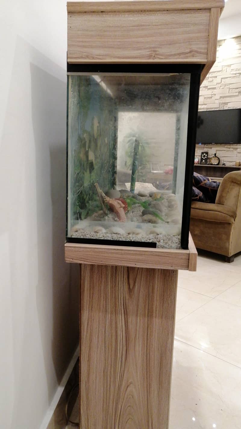 Fish Aquarium 1