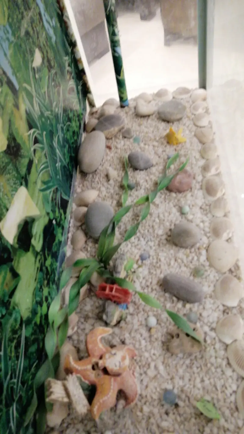 Fish Aquarium — photo 3