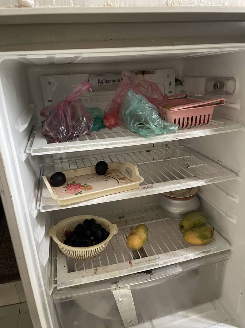 Pel refrigerator 2