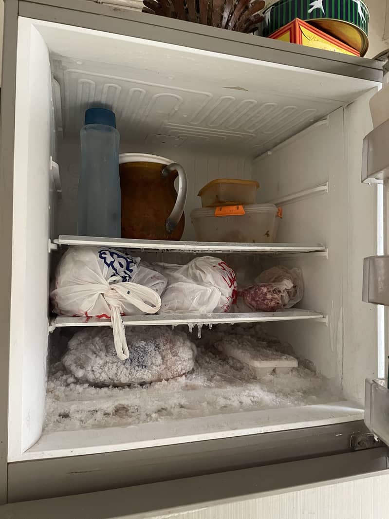 Pel refrigerator 9